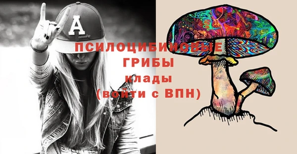 MDMA Premium VHQ Аркадак