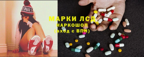спайс Арсеньев